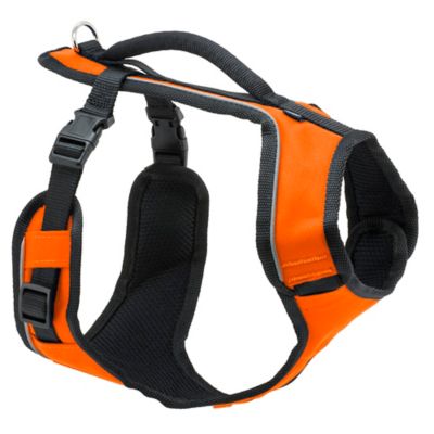 Image showing 7 th PetSafe Easysport Dog Harness