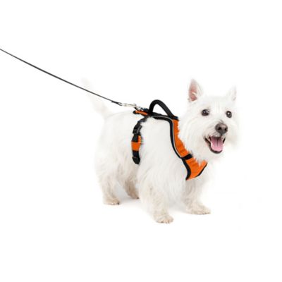 Image showing 6 th PetSafe Easysport Dog Harness