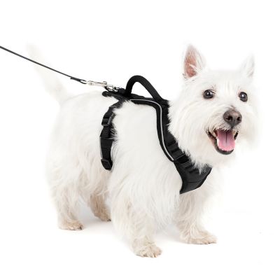 Image showing  Easysport Dog Harness