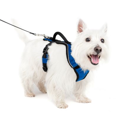 Image showing  Easysport Dog Harness