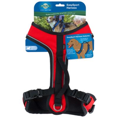 Image showing 8 th PetSafe Easysport Dog Harness