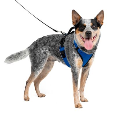 Image showing  Easysport Dog Harness