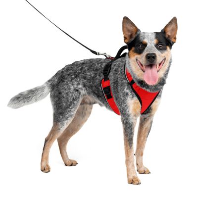 PetSafe Easysport Dog Harness