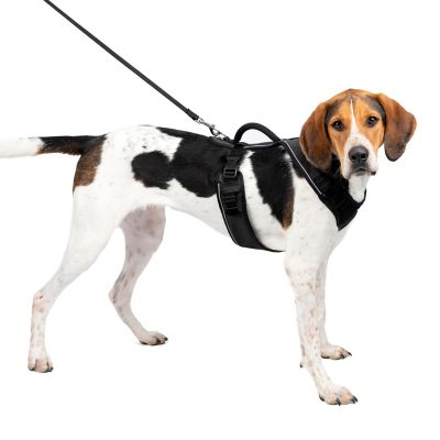 PetSafe Easysport Dog Harness