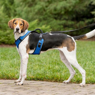 Image showing 6 th PetSafe Easysport Dog Harness