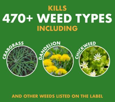 Image showing  1.3 gal. Weed Stop for Lawns Plus Crabgrass Killer with 1.3G AccuShot Sprayer