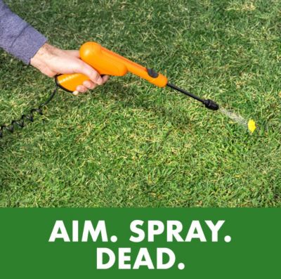 Image showing  1.3 gal. Weed Stop for Lawns Plus Crabgrass Killer with 1.3G AccuShot Sprayer