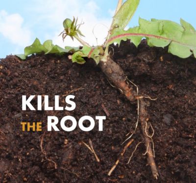 Image showing 5 th Spectracide 1.3 gal. Weed Stop for Lawns Plus Crabgrass Killer with 1.3G AccuShot Sprayer