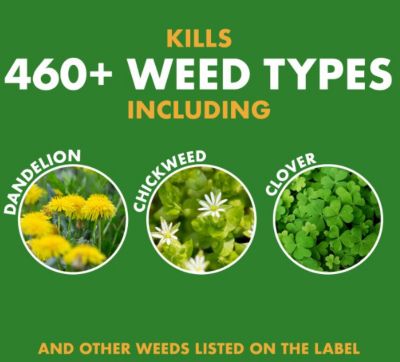 Image showing  1 gal. Weed Stop Weed Preventer for Lawns with AccuShot Continuous Power Sprayer