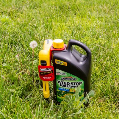 Image showing 5 th Spectracide 1 gal. Weed Stop Weed Preventer for Lawns with AccuShot Continuous Power Sprayer