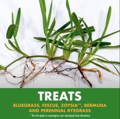 Image showing 7 th Spectracide 1 gal. Weed Stop Weed Preventer for Lawns with AccuShot Continuous Power Sprayer