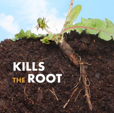 Image showing 8 th Spectracide 1 gal. Weed Stop Weed Preventer for Lawns with AccuShot Continuous Power Sprayer