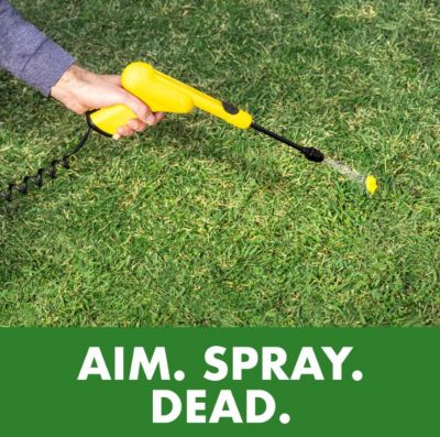 Image showing 11 th Spectracide 1 gal. Weed Stop Weed Preventer for Lawns with AccuShot Continuous Power Sprayer