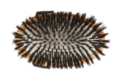 Image showing  Shine & Condition 100% Premium Natural Bristle Pet Grooming Brush with Pure Bamboo Handle, Palm Style, Striped Finish