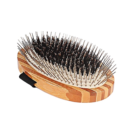 Bass Shine and Condition Natural Bristle/Alloy Pin Pet Grooming Brush with Pure Bamboo Handle, Palm Style, Striped Finish