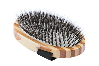 Bass Shine & Condition 100% Natural Bristle/Nylon Pin Pet Grooming Brush with Pure Bamboo Handle, Palm Style, Striped