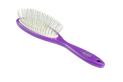 Bass Large Style and Detangle Oval Pet Brush, 100% Premium Alloy Pin, High Polish Acrylic Handle, Purple Finish