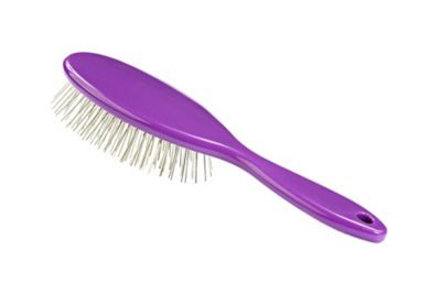 Image showing  Large Style and Detangle Oval Pet Brush, 100% Premium Alloy Pin, High Polish Acrylic Handle, Purple Finish