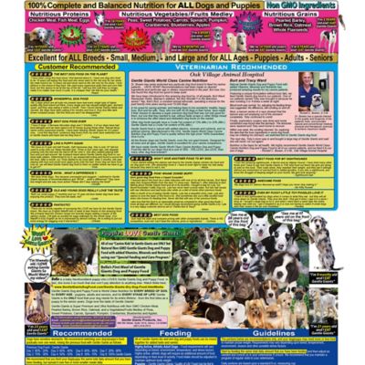 Image showing 6 th Gentle Giants All Life Stages Dog and Puppy Natural Non-GMO Chicken Recipe Dry Dog Food