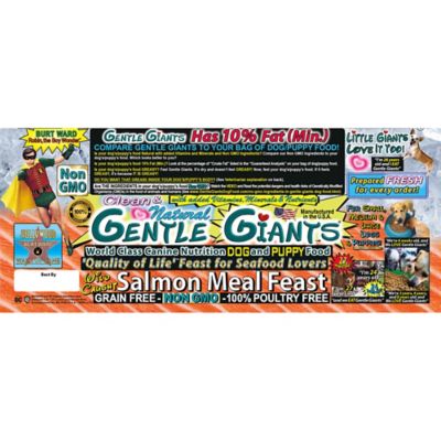 Image showing 6 th Gentle Giants All Life Stages Natural NON-GMO Grain-Free Salmon Recipe Dry Dog Food, 18 lb. Bag