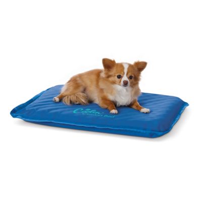 K&H Pet Products Coolin Comfort Small Elevated Dog Bed, Blue, 17 in. x 24 in.