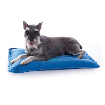 K&H Pet Products Coolin Comfort Medium Elevated Dog Bed, Blue, 22 in. x 32 in.