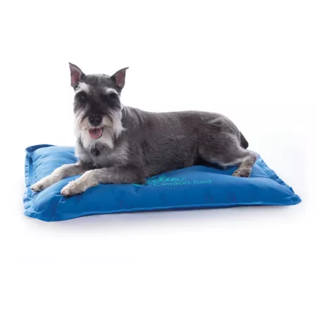 K&H Pet Products Coolin Comfort Medium Elevated Dog Bed Blue 22 in x 32 in. Elevated & Cooling Beds