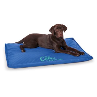 Large blue dog outlet bed