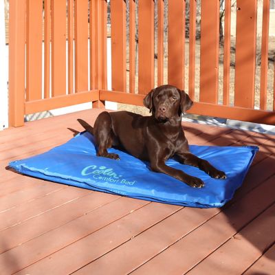 Image showing  Coolin Comfort Large Elevated Dog Bed, 32 in. x 44 in., Blue
