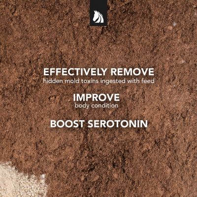 Image showing  Daily Gold Stress Relief Natural Healing Clay for Gastric Ulcers in Horses, 4.5 lb.