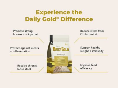 Image showing 5 th Redmond Daily Gold Stress Relief Natural Healing Clay for Gastric Ulcers in Horses, 4.5 lb.