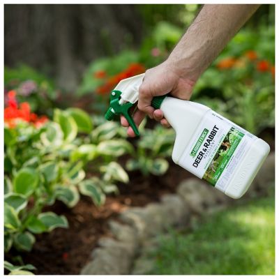 Image showing  32 oz. Ready-to-Use Deer and Rabbit Repellent