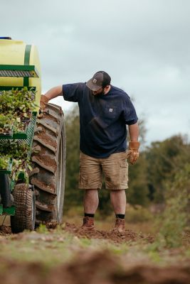 Image showing  Men's Canvas Mesh Back Cap, 1