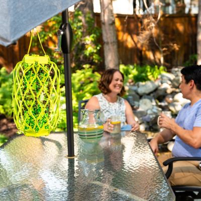 Image showing  TrapStik for Wasps, Mud Daubers and Carpenter Bees