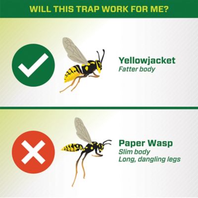 Image showing  Non-Toxic Attractant Refill for Yellowjacket Traps, 2-Pack