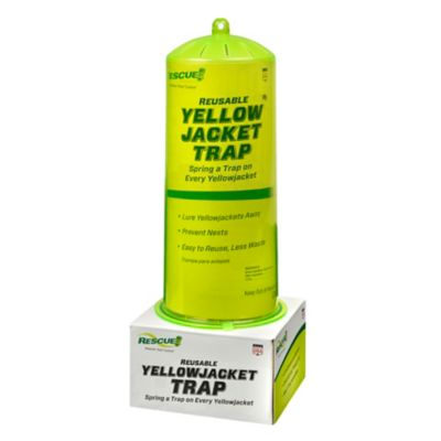 RESCUE!® TrapStik® for Wasps, Mud Daubers, Carpenter Bees - Calloway's  Nursery