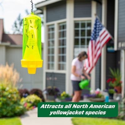 Image showing  Reusable Yellowjacket Trap