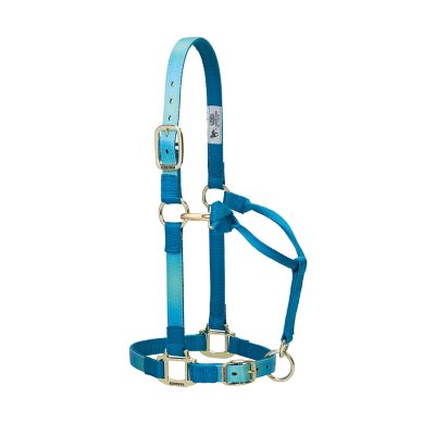 Weaver Leather Adjustable Horse Halter, Average, Blue Ombre at Tractor  Supply Co.