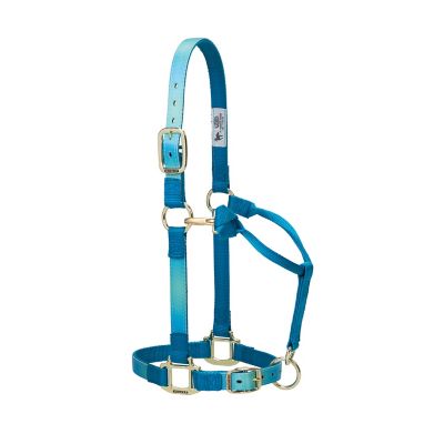 Weaver Nylon Breakaway Adjustable Halter