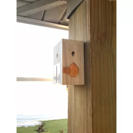 Bees N Things Universal Carpenter Bee Trap Insect Traps