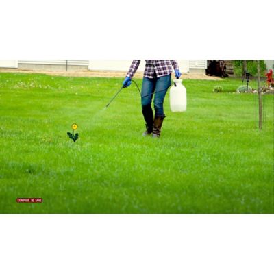 Image showing 6 th Compare-N-Save 64 oz. Weed Killer for Lawns, Concentrate