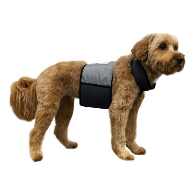 Ice clearance vest dog