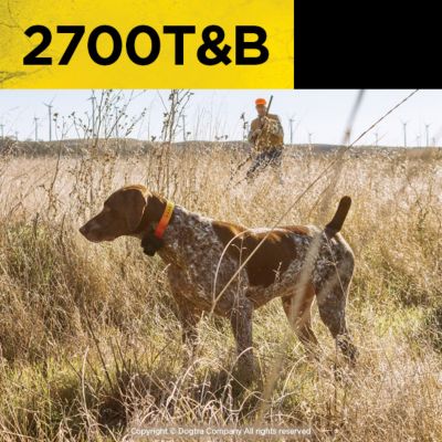 Image showing 5 th Dogtra 2700T&B Long Range Rechargeable 1-Mile Range 1-Dog Training and Beeper Remote Dog Training E-Collar System