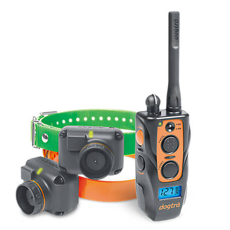 Dogtra Long Range Rechargeable 2-Dog Training and Beeper Remote Dog Training E-Collar, 1-Mile Range