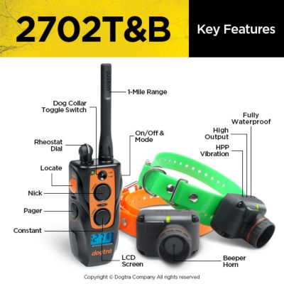 Image showing  Long Range Rechargeable 1-Mile Range 2-Dog Training and Beeper Remote Dog Training E-Collar System