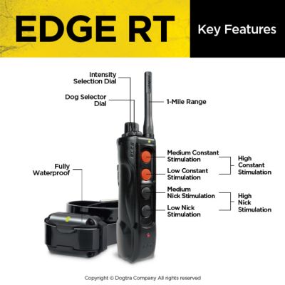 Image showing  1 Mile EDGE RT Long Range High-Output Waterproof 3-Dog Expandable Remote Dog Training E-Collar