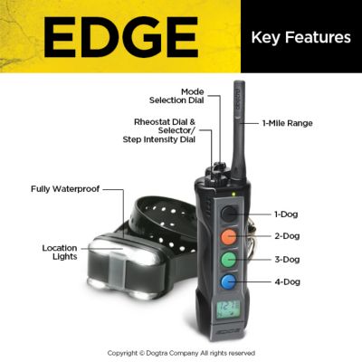 Image showing  EDGE Long Range High-Output Waterproof 4-Dog Expandable Remote Dog Training E-Collar, 1 Mile Range