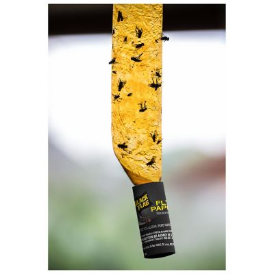 Image showing  Sticky Fly Paper, 4-Pack