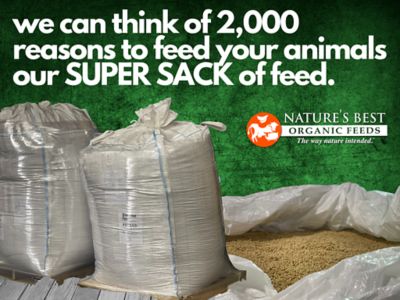 Image showing  Egg Layer Crumble Chicken Feed Tote, 2,000 lb.