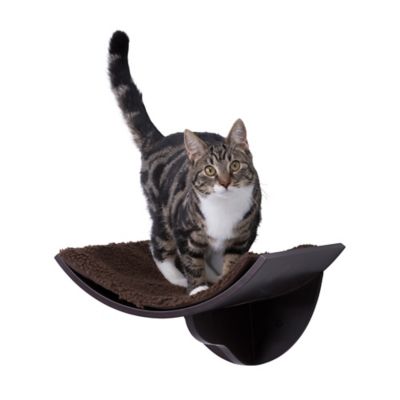 Image showing  Lorena Wall Mount Perch, Cat Shelf, Cat Bed, Cat Lounger, Cat Furniture